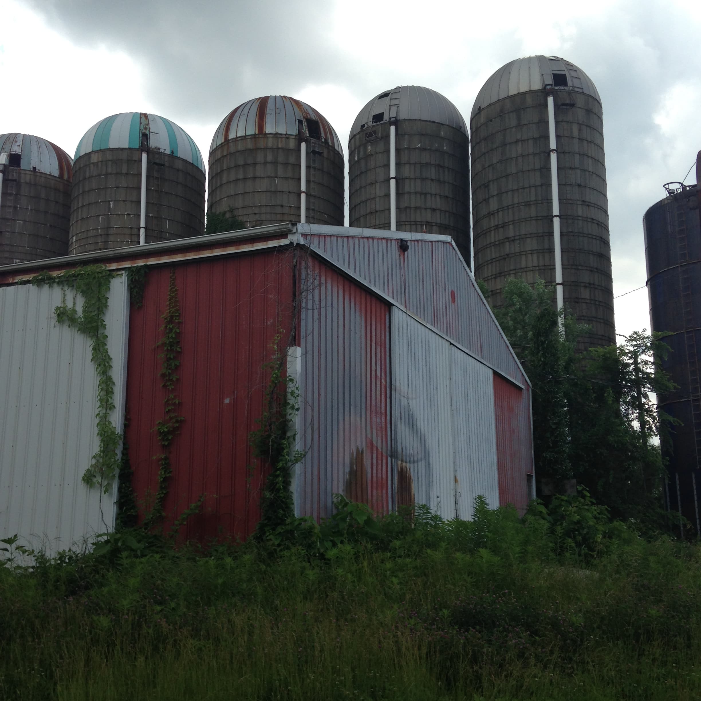 Image of the family barn